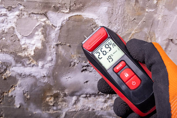 Best Emergency Mold Remediation in Olmsted Falls, OH