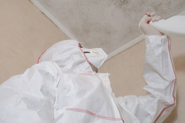 Best HVAC Mold Remediation in Olmsted Falls, OH