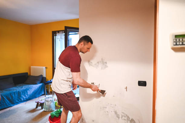 Best Crawl Space Mold Remediation in Olmsted Falls, OH